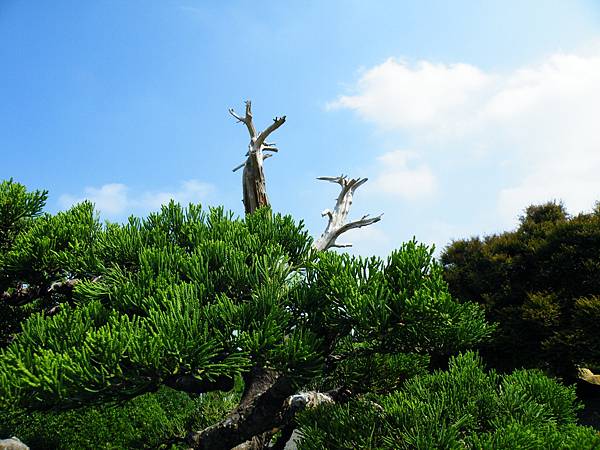 DSCF9327.JPG DSCF9327.JPG