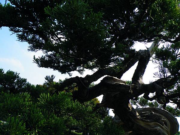 DSCF9328.JPG DSCF9328.JPG