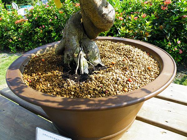 DSCF9330.JPG DSCF9330.JPG