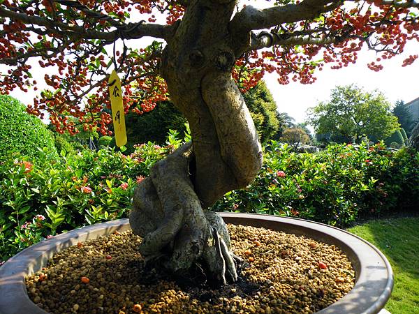 DSCF9331.JPG DSCF9331.JPG