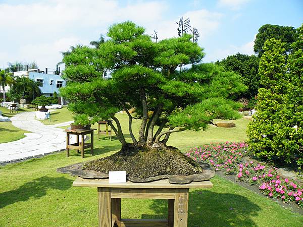 DSCF9335.JPG DSCF9335.JPG