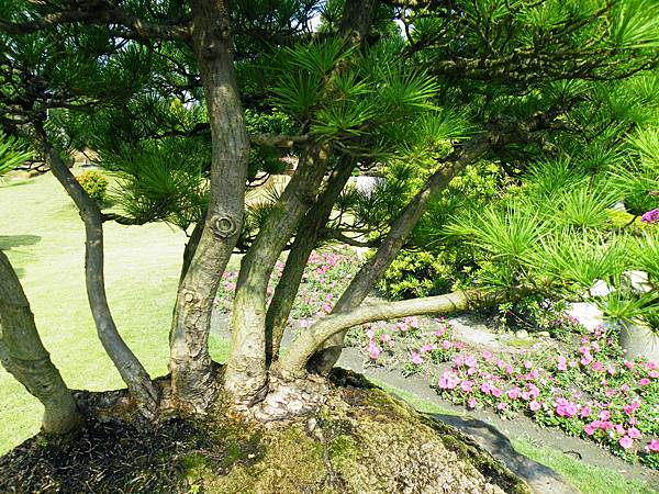 DSCF9339.JPG DSCF9339.JPG