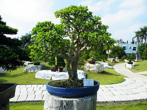 DSCF9340.JPG DSCF9340.JPG