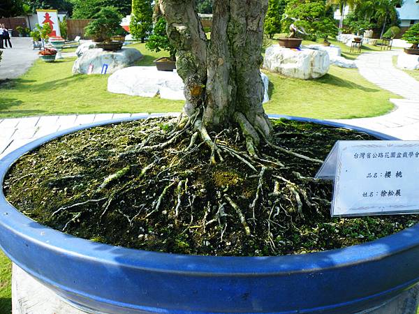 DSCF9341.JPG DSCF9341.JPG