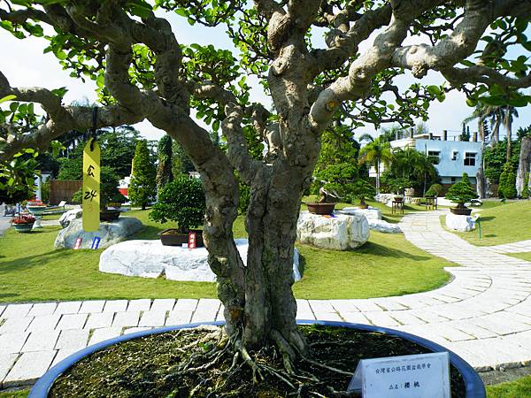 DSCF9342.JPG DSCF9342.JPG