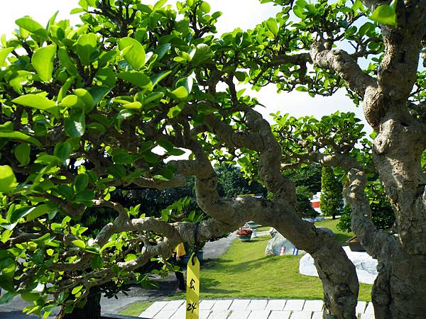 DSCF9344.JPG DSCF9344.JPG