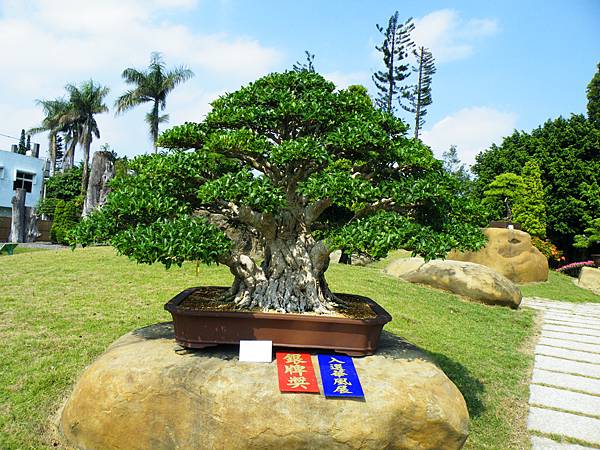 DSCF9345.JPG DSCF9345.JPG