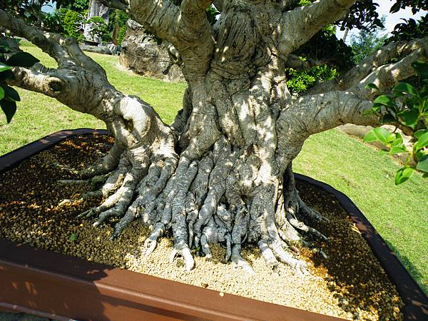 DSCF9346.JPG DSCF9346.JPG