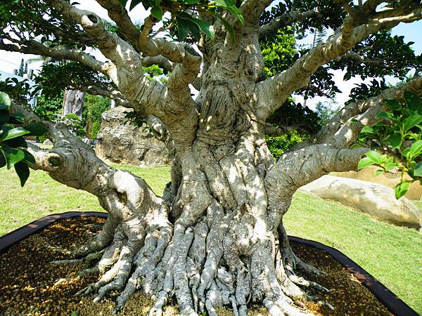 DSCF9347.JPG DSCF9347.JPG