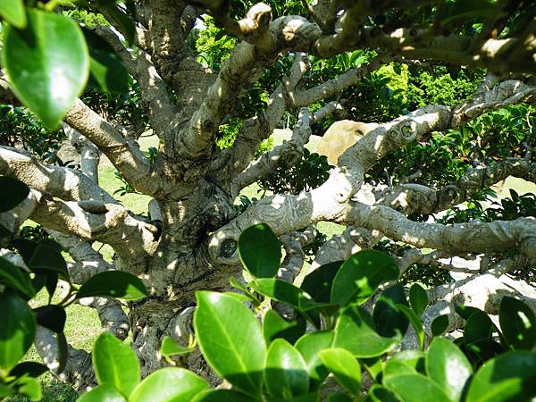 DSCF9348.JPG DSCF9348.JPG