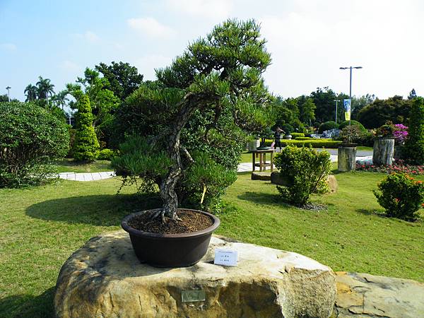 DSCF9350.JPG DSCF9350.JPG