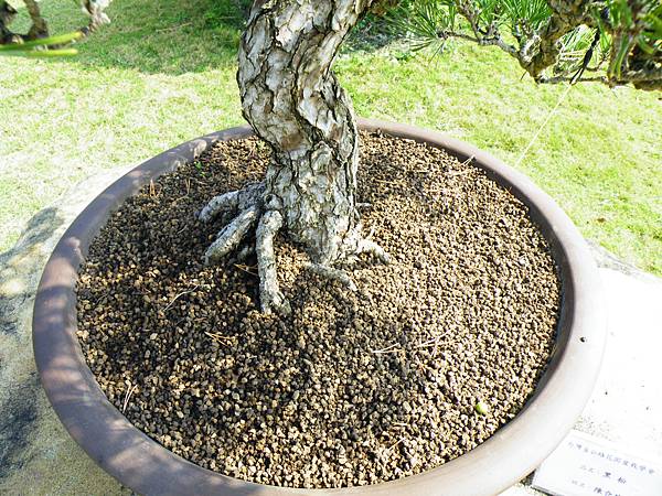 DSCF9351.JPG DSCF9351.JPG