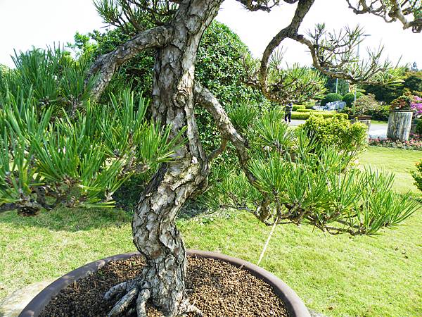 DSCF9352.JPG DSCF9352.JPG