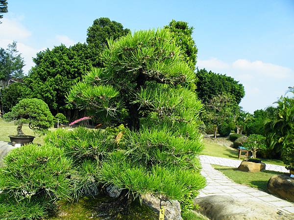 DSCF9356.JPG DSCF9356.JPG