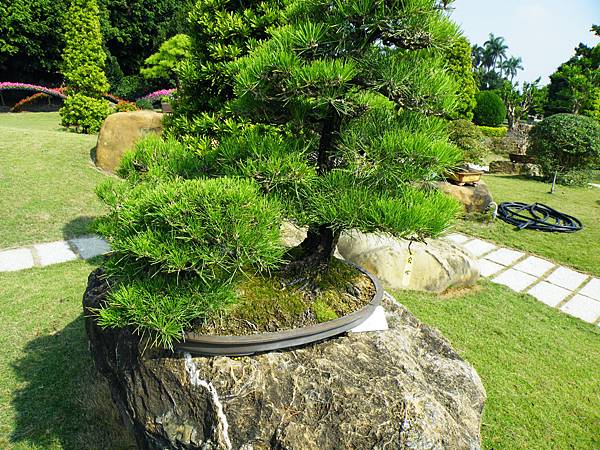 DSCF9357.JPG DSCF9357.JPG