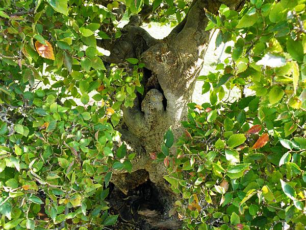 DSCF9360.JPG DSCF9360.JPG