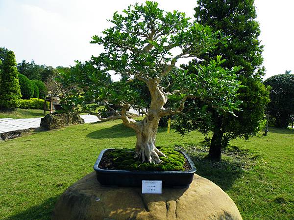 DSCF9362.JPG DSCF9362.JPG