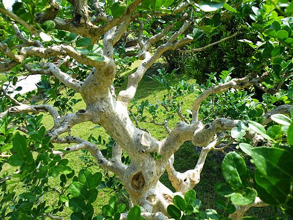 DSCF9366.JPG DSCF9366.JPG