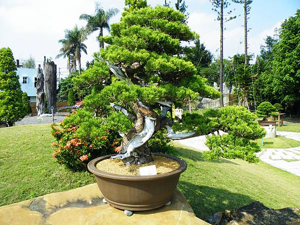 DSCF9367.JPG DSCF9367.JPG