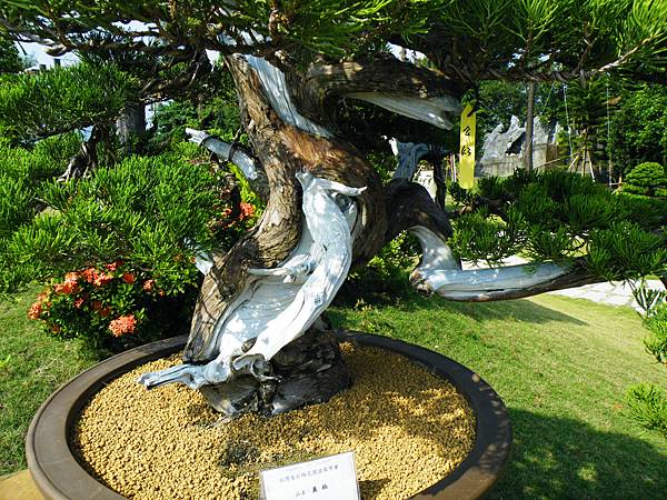 DSCF9368.JPG DSCF9368.JPG