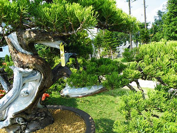 DSCF9369.JPG DSCF9369.JPG