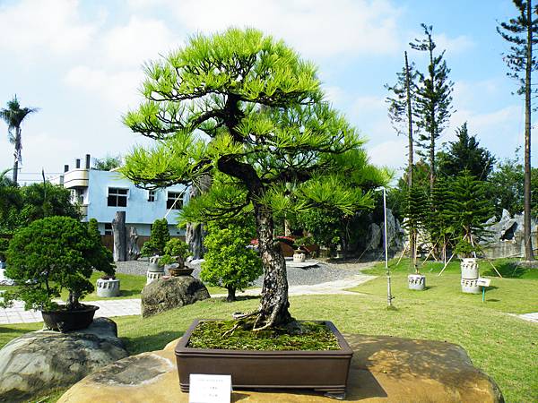 DSCF9371.JPG DSCF9371.JPG