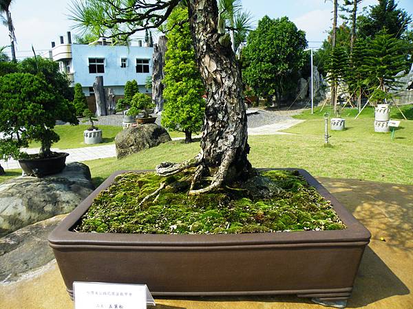 DSCF9372.JPG DSCF9372.JPG