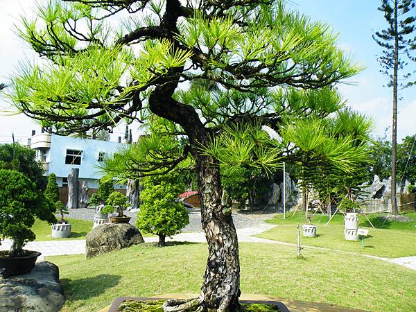 DSCF9373.JPG DSCF9373.JPG