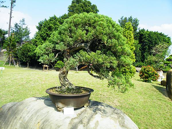 DSCF9375.JPG DSCF9375.JPG