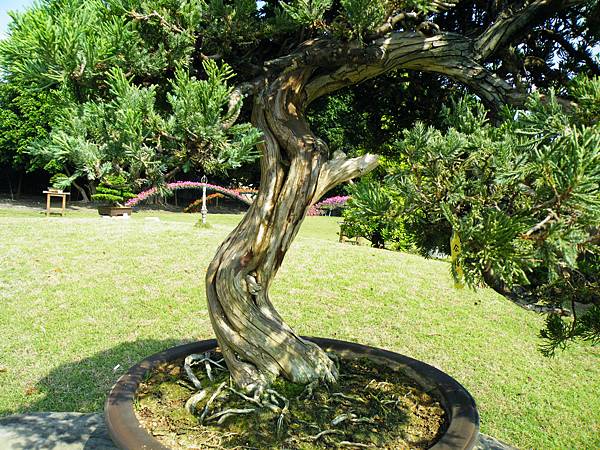 DSCF9376.JPG DSCF9376.JPG