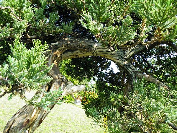 DSCF9377.JPG DSCF9377.JPG