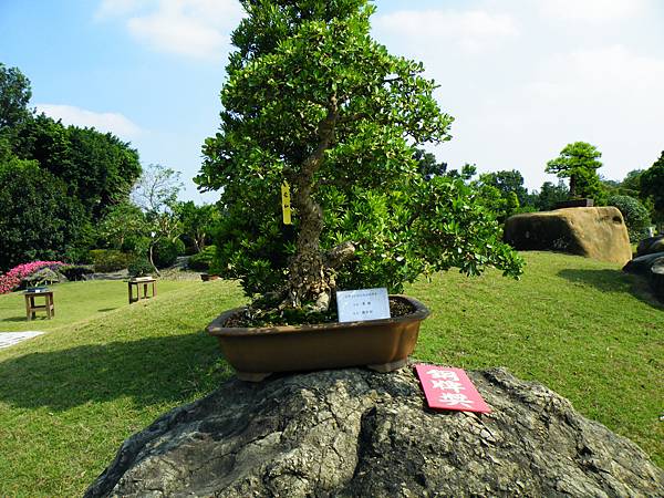 DSCF9378.JPG DSCF9378.JPG