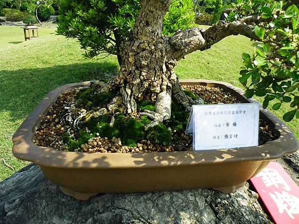 DSCF9379.JPG DSCF9379.JPG