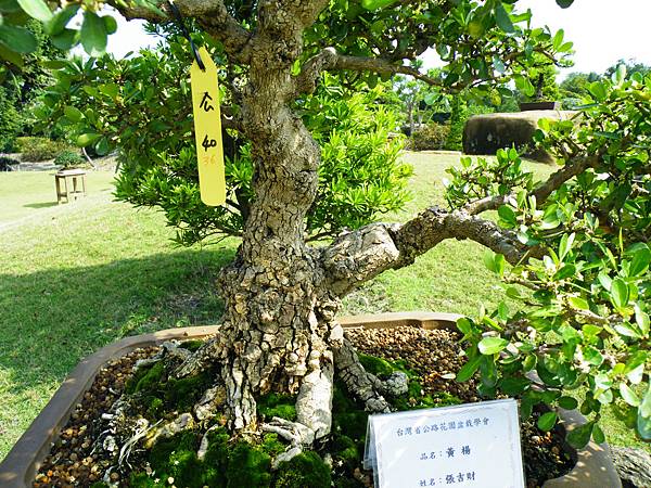 DSCF9380.JPG DSCF9380.JPG