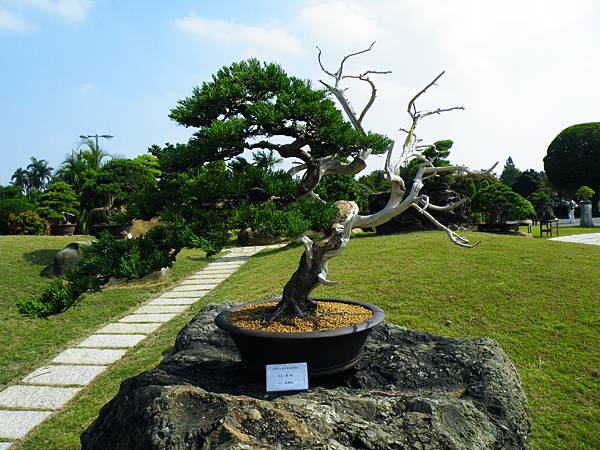 DSCF9384.JPG DSCF9384.JPG