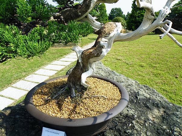 DSCF9385.JPG DSCF9385.JPG