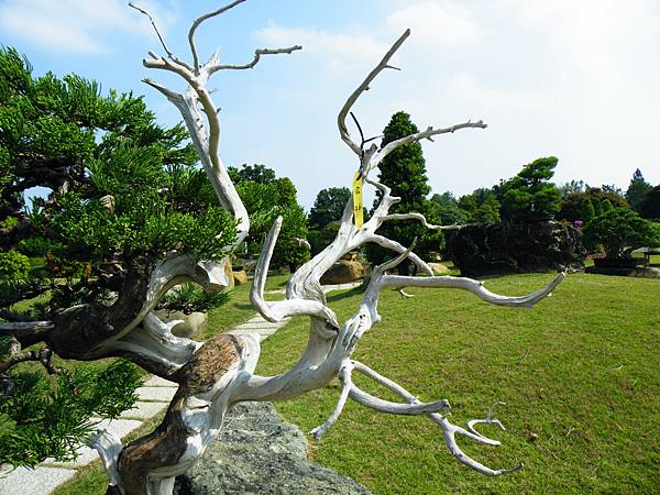 DSCF9386.JPG DSCF9386.JPG