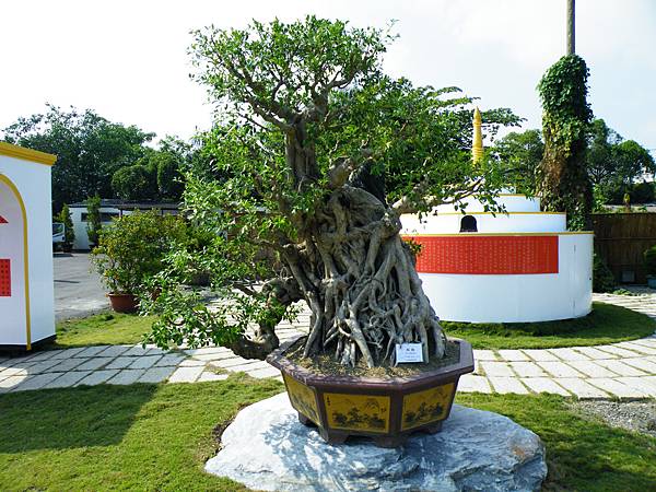 DSCF9392.JPG DSCF9392.JPG