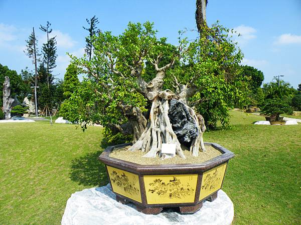 DSCF9393.JPG DSCF9393.JPG