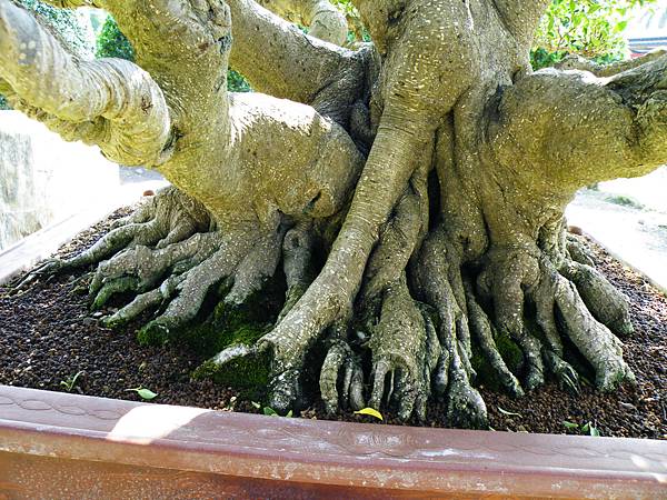 DSCF9395.JPG DSCF9395.JPG