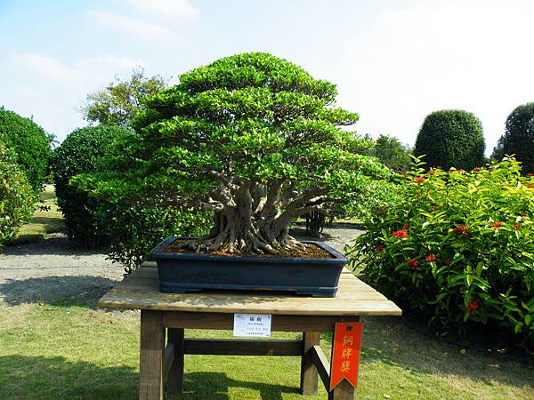 DSCF9400.JPG DSCF9400.JPG