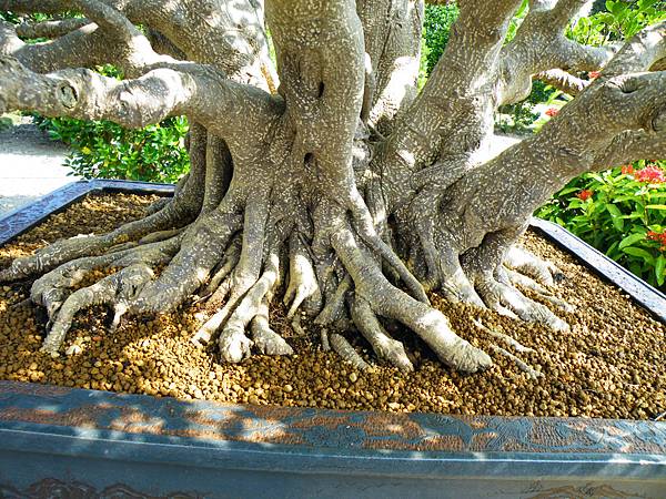 DSCF9401.JPG DSCF9401.JPG