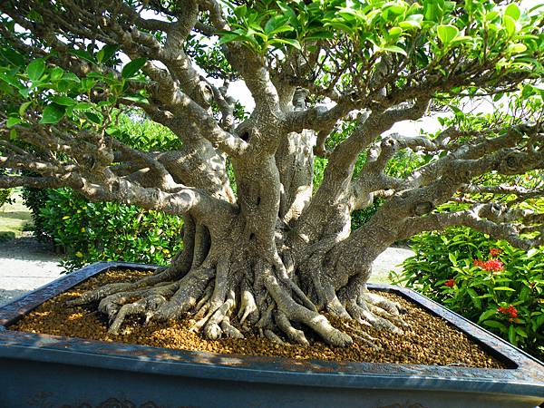 DSCF9402.JPG DSCF9402.JPG