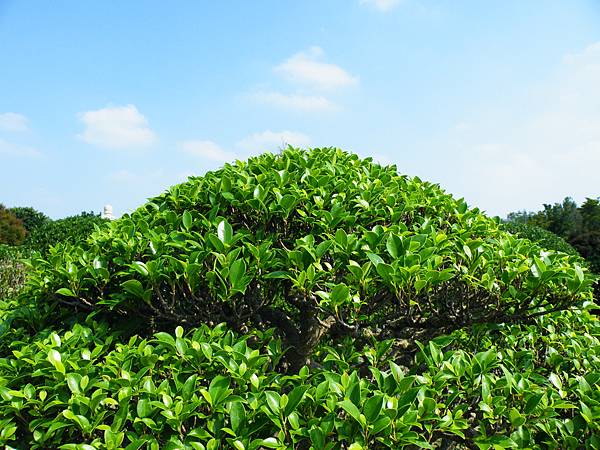 DSCF9404.JPG DSCF9404.JPG