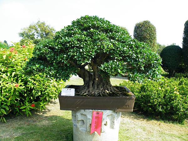 DSCF9405.JPG DSCF9405.JPG