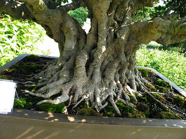 DSCF9406.JPG DSCF9406.JPG