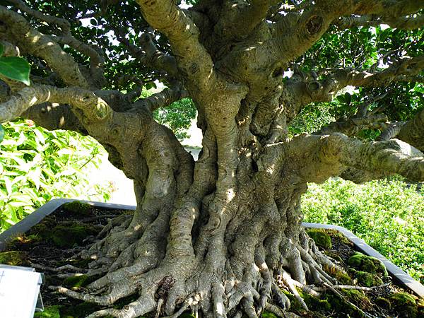 DSCF9407.JPG DSCF9407.JPG