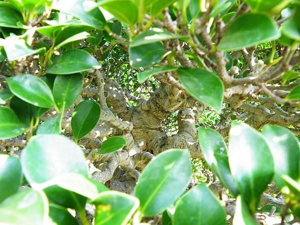 DSCF9408.JPG DSCF9408.JPG