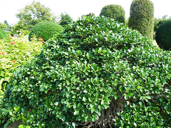 DSCF9409.JPG DSCF9409.JPG