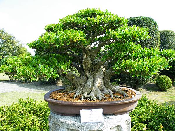 DSCF9410.JPG DSCF9410.JPG